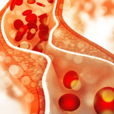 Doporučený maximální příjem cholesterolu u nesportující populace by neměl překračovat 300 mg denně (například 1,5 vejce)
