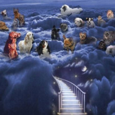 Někde musí být ráj...