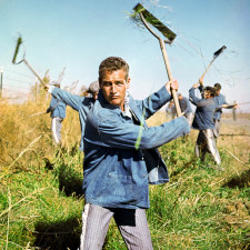 Paul Newman zemřel na rakovinu plic v roce 2008