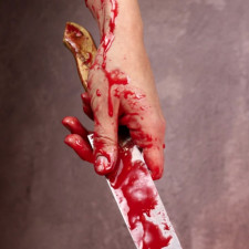 Mladý vrah ubodal manželku svého šéfa k smrti. Trestu se nevyhnul