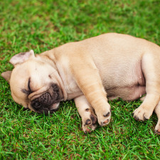 Pokud budete požadovat odškodné, je dobré se poradit s právníkem