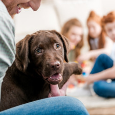 Psi nás dokáží mimo jiné i zbavit stresu