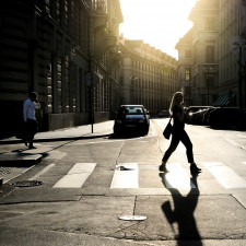 Více stromů do pražských ulic si přeje magistrát