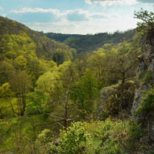 Unikátní nález hlásí čeští archeologové