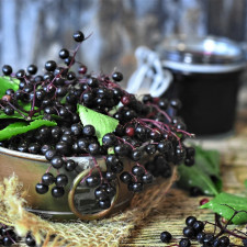 Bezinky najdeme téměř všude. Je škoda je nezpracovat