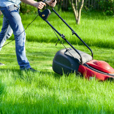 Jednou z nejčastějších chyb, které se zahrádkáři dopouštějí, je sekání trávy ve vlně veder