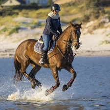 Platí volnější pravidla pro sport. Velikonoce nemusíme trávit u televize