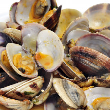 Prodloužení délky života může zahrnovat běžné genetické faktory u velmi vzdáleně příbuzných druhů