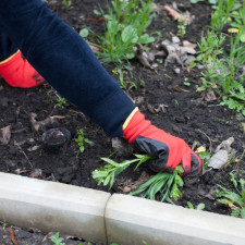 Zbavit se plevele vám pomůže mimo jiné i obyčejný ocet