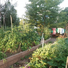 Prazelenina v Holešovicích vše odstartovala