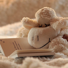 Těhotenství je většinou o výbavičce a pravidelných kontrolách u lékaře. Na podporu cirkadiánního rytmu se zapomíná a pak je slyšet jen spílání rodičů, že jejich dítě nechce spát