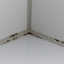 S odstraněním plísně ze silikonu vám pomůže ocet a jedlá soda