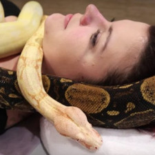 Tak co, dali byste to?