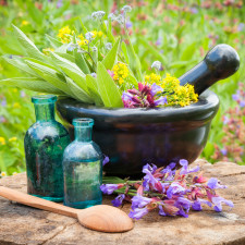 Šalvěj se používá též v léčitelství pro své protizánětlivé, antivirotické a antibakteriální účinky, zabraňuje průjmům