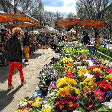 Tylovo náměstí prošlo v posledních letech zásadní proměnou