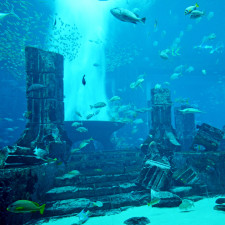 Platónovy písemné dialogy Timaios a Kritias, napsané v roce 360 př. n. l., jsou jediným zdrojem informací o Atlantidě