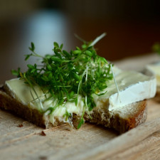 Řeřichu rády pěstují i děti - je to jednoduché